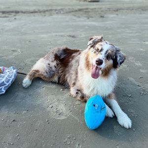 Meet your Posher, Cayley